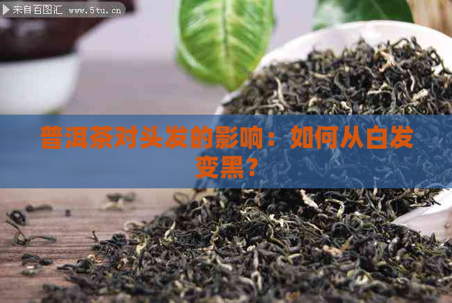 普洱茶对头发的影响：如何从白发变黑？