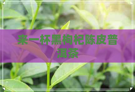 来一杯黑枸杞陈皮普洱茶