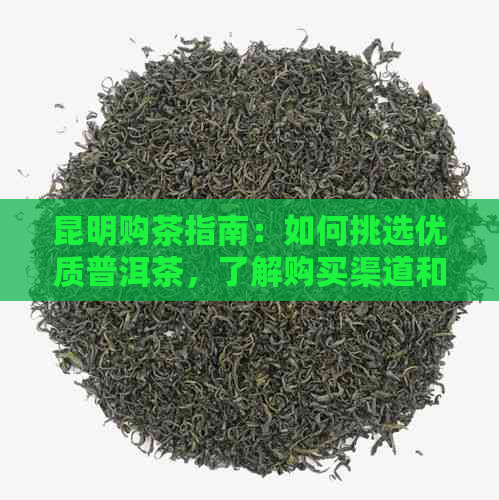 昆明购茶指南：如何挑选优质普洱茶，了解购买渠道和注意事项