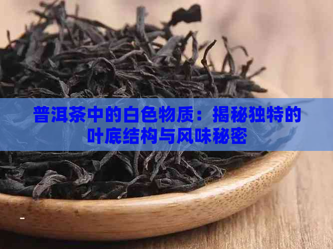 普洱茶中的白色物质：揭秘独特的叶底结构与风味秘密