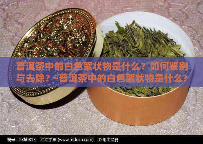 普洱茶中的白色絮状物是什么？如何鉴别与去除？-普洱茶中的白色絮状物是什么?如何鉴别与去除