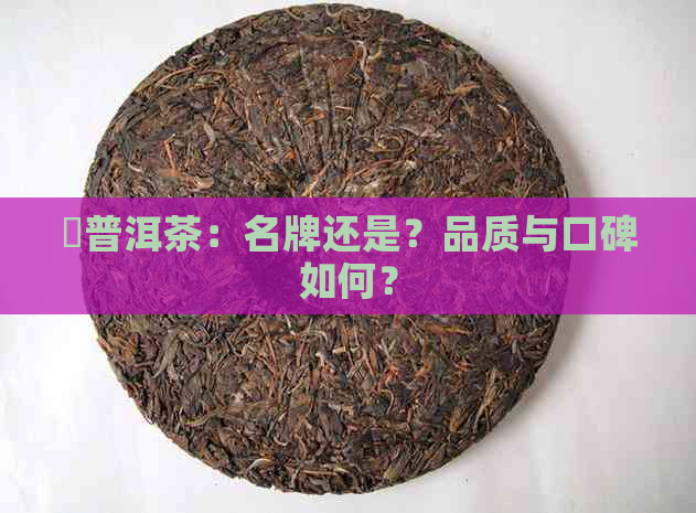 堃普洱茶：名牌还是？品质与口碑如何？