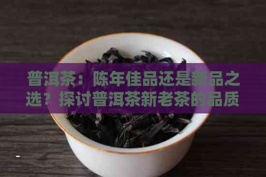 普洱茶：陈年佳品还是新品之选？探讨普洱茶新老茶的品质与价值