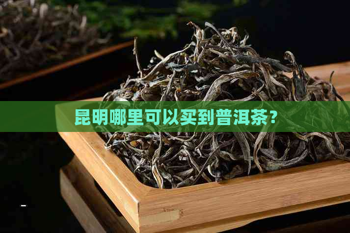 昆明哪里可以买到普洱茶？