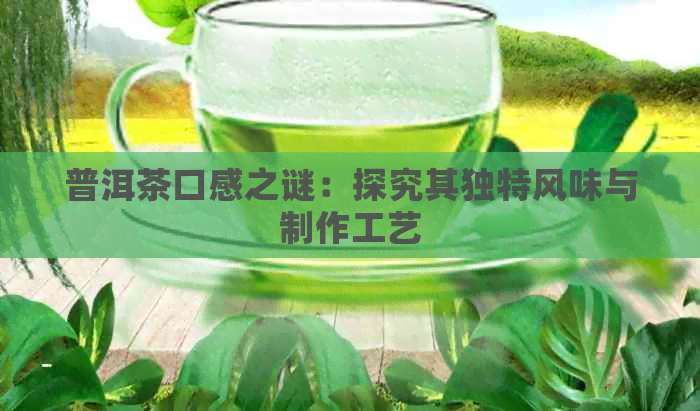 普洱茶口感之谜：探究其独特风味与制作工艺