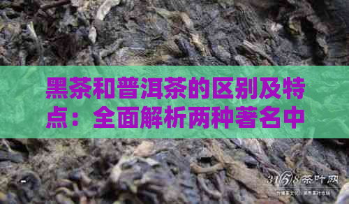 黑茶和普洱茶的区别及特点：全面解析两种著名中国茶的不同之处