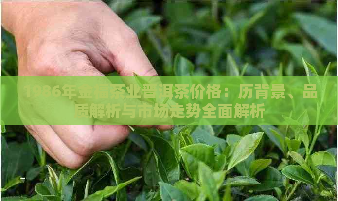 1986年金福茶业普洱茶价格：历背景、品质解析与市场走势全面解析