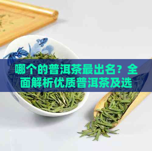 哪个的普洱茶最出名？全面解析优质普洱茶及选购指南