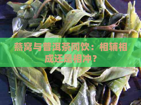 燕窝与普洱茶同饮：相辅相成还是相冲？