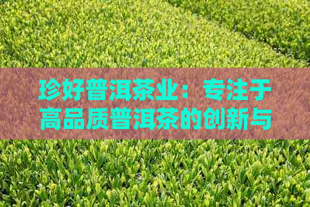 珍好普洱茶业：专注于高品质普洱茶的创新与传承