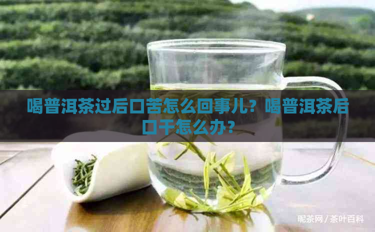 喝普洱茶过后口苦怎么回事儿？喝普洱茶后口干怎么办？