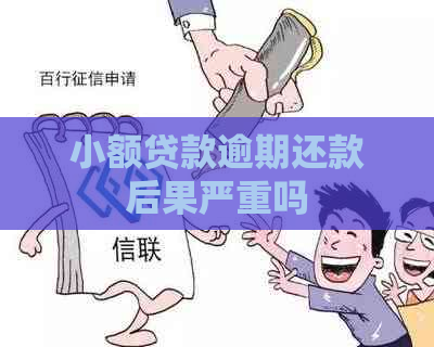 小额贷款逾期还款后果严重吗