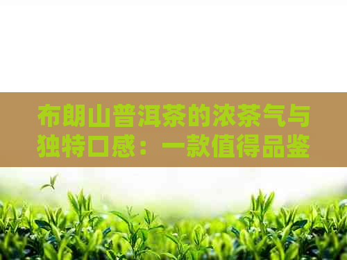 布朗山普洱茶的浓茶气与独特口感：一款值得品鉴的茶叶佳品