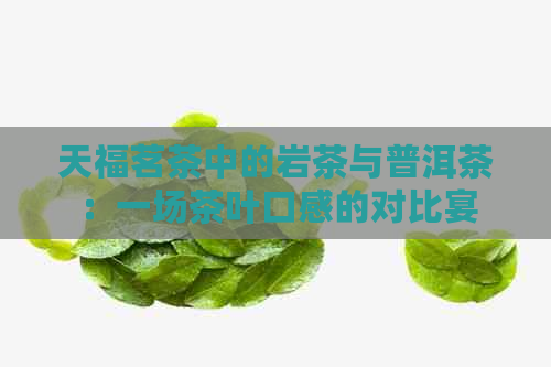 天福茗茶中的岩茶与普洱茶：一场茶叶口感的对比宴