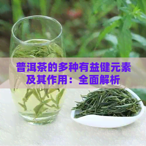 普洱茶的多种有益健元素及其作用：全面解析