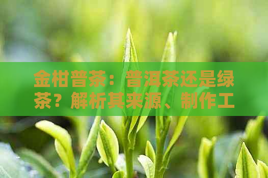 金柑普茶：普洱茶还是绿茶？解析其来源、制作工艺与口感特点