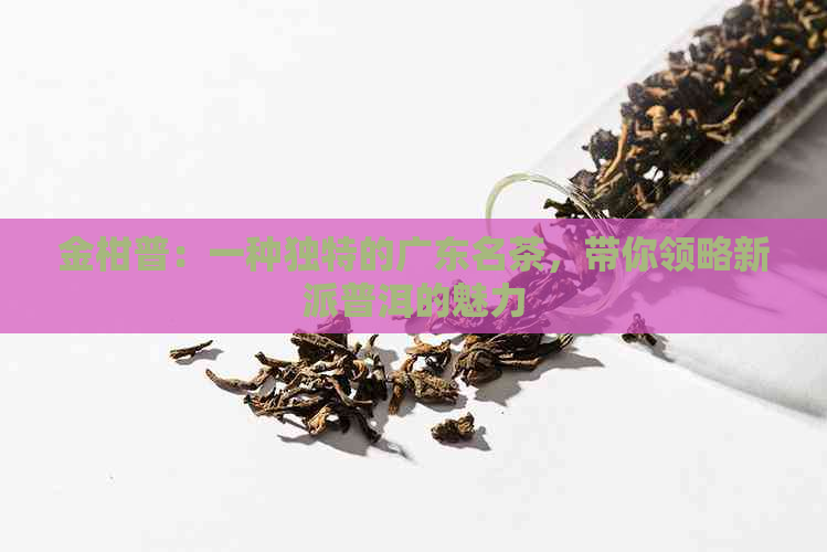 金柑普：一种独特的广东名茶，带你领略新派普洱的魅力