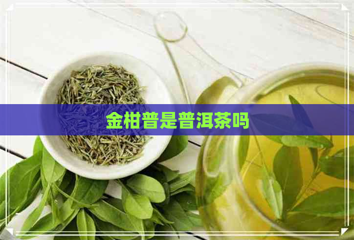 金柑普是普洱茶吗