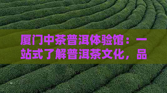 厦门中茶普洱体验馆：一站式了解普洱茶文化，品尝与购买的选择