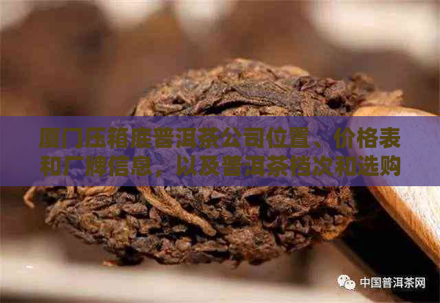 厦门压箱底普洱茶公司位置、价格表和厂牌信息，以及普洱茶档次和选购建议。