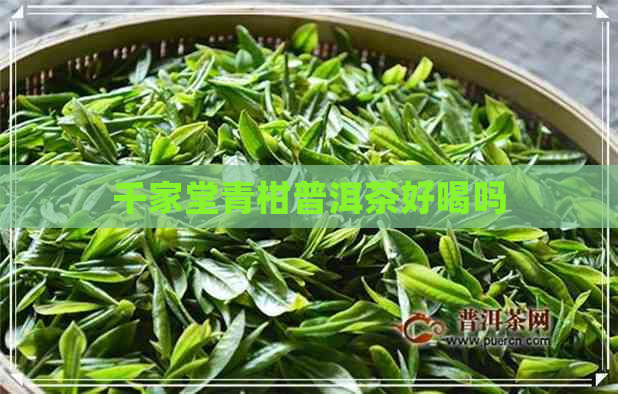 千家堂青柑普洱茶好喝吗