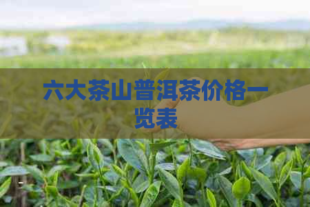 六大茶山普洱茶价格一览表