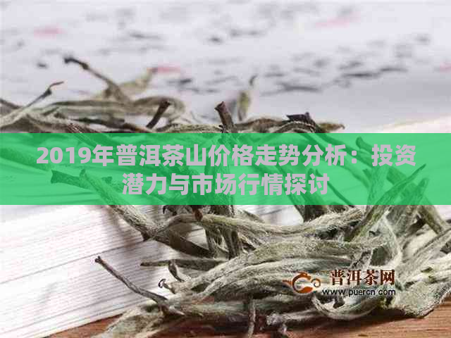 2019年普洱茶山价格走势分析：投资潜力与市场行情探讨