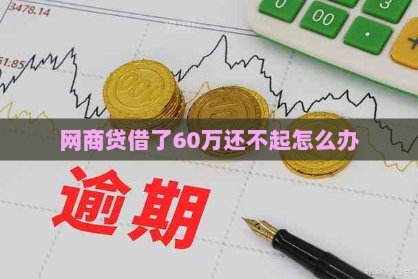 网商贷借了60万还不起怎么办