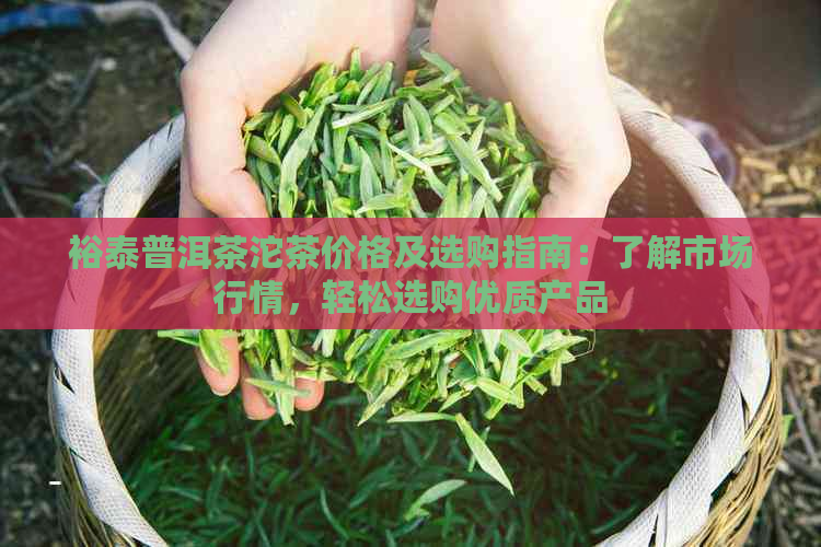 裕泰普洱茶沱茶价格及选购指南：了解市场行情，轻松选购优质产品