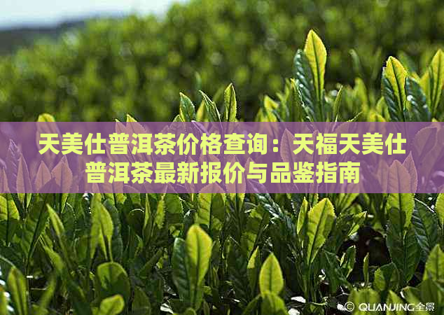 天美仕普洱茶价格查询：天福天美仕普洱茶最新报价与品鉴指南