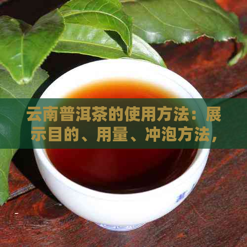 云南普洱茶的使用方法：展示目的、用量、冲泡方法，怎么泡着喝？