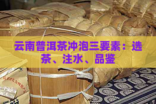 云南普洱茶冲泡三要素：选茶、注水、品鉴