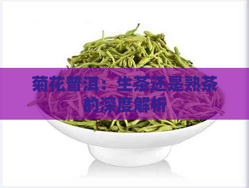 菊花普洱：生茶还是熟茶的深度解析