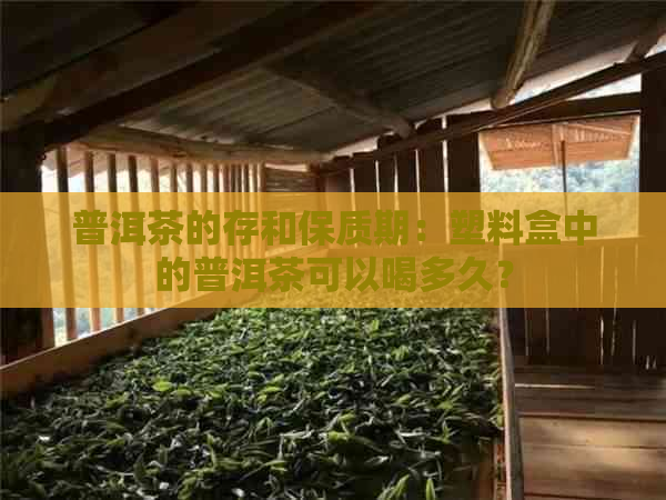 普洱茶的存和保质期：塑料盒中的普洱茶可以喝多久？