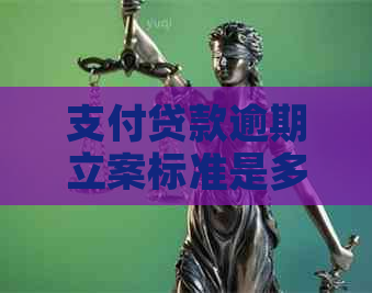 支付贷款逾期立案标准是多少