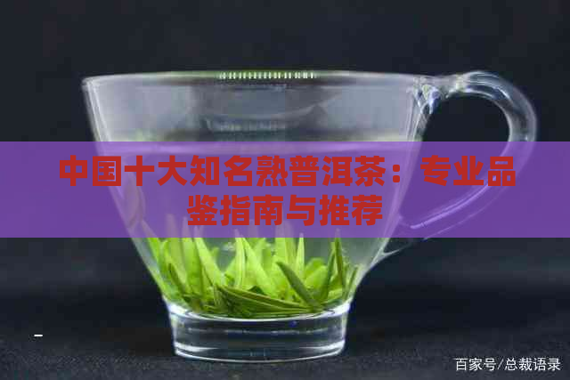 中国十大知名熟普洱茶：专业品鉴指南与推荐