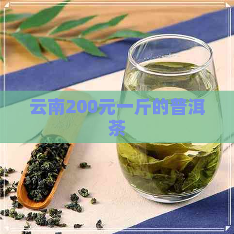 云南200元一斤的普洱茶