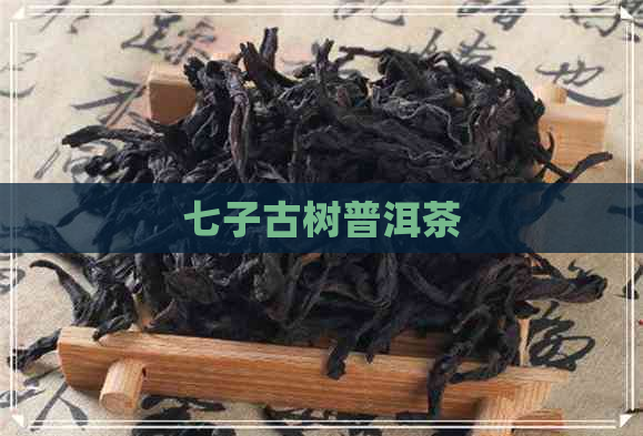 七子古树普洱茶