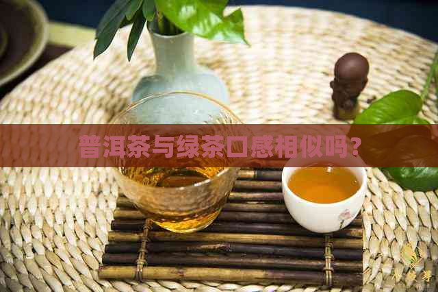 普洱茶与绿茶口感相似吗？