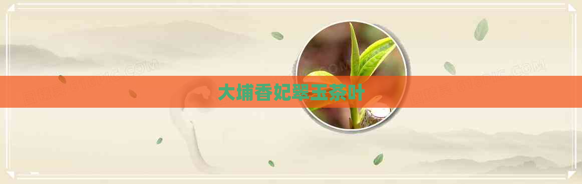 大埔香妃翠玉茶叶