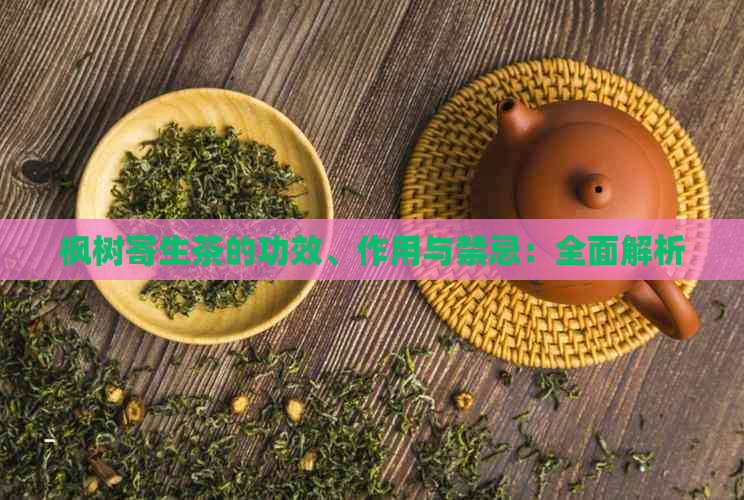 枫树寄生茶的功效、作用与禁忌：全面解析