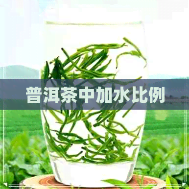 普洱茶中加水比例