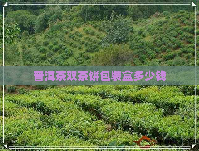 普洱茶双茶饼包装盒多少钱