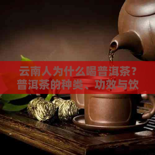 云南人为什么喝普洱茶？普洱茶的种类、功效与饮用方法一览无余