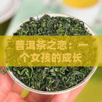 普洱茶之恋：一个女孩的成长与探索