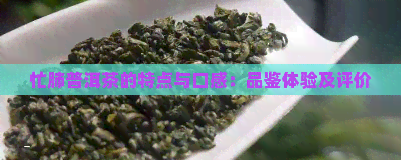 忙肺普洱茶的特点与口感：品鉴体验及评价