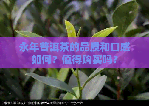 永年普洱茶的品质和口感如何？值得购买吗？