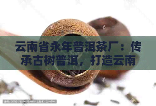 云南省永年普洱茶厂：传承古树普洱，打造云南茶叶领导