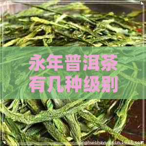 永年普洱茶有几种级别