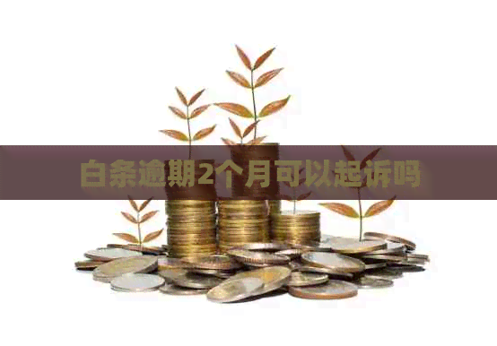 白条逾期2个月可以起诉吗